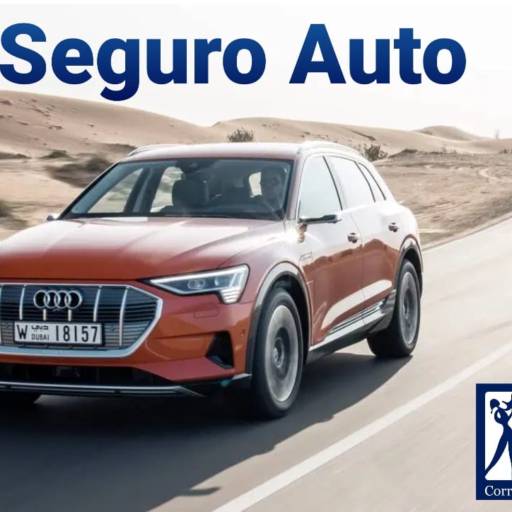 Seguro Auto