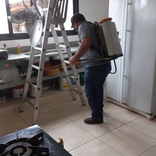 Barreiras Físicas para Pombos em Laranjal Paulista – Proteção eficaz