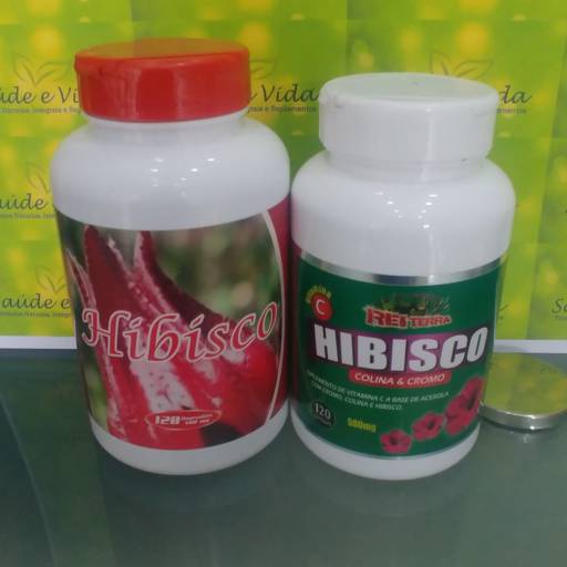 Hibisco- Rei Terra por Saúde e Vida