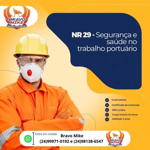 NR 29 SEGURANÇA E SAÚDE NO TRABALHO PORTUÁRIO