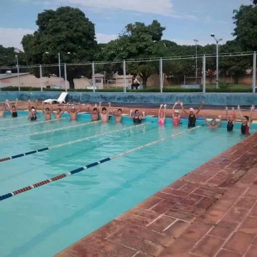 Natação por Zebra Natação