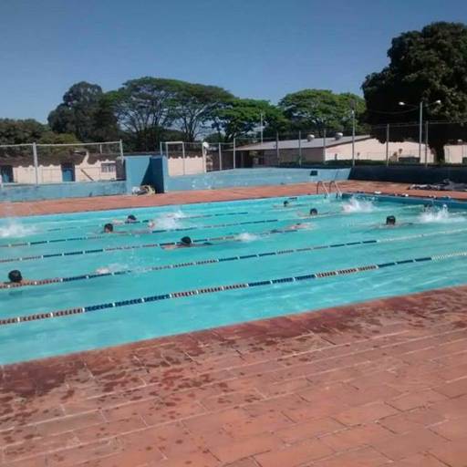 Natação por Zebra Natação