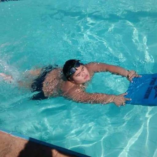 Natação por Zebra Natação