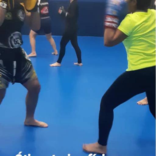 Treino de kickboxing por Academia Gracie Barra