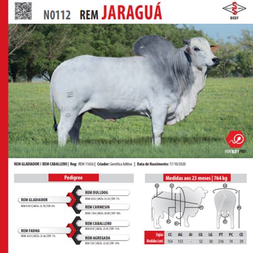 Touro Nelore Rem Jaraguá (N0112)