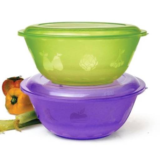 Saladeira 3,0L com Tampa Ercaplast por Casa Vitória