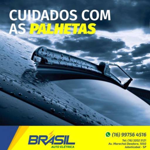 Comprar o produto de Palhetas Automotivas em A Classificar pela empresa Brasil Auto Elétrica em Jaboticabal, SP por Solutudo