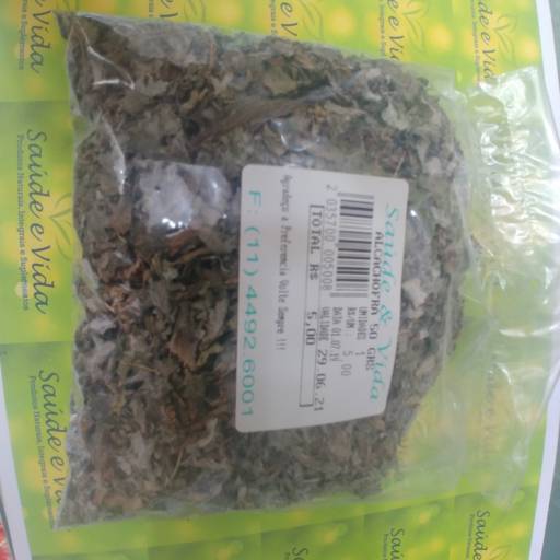 Alcachofra por Saúde e Vida