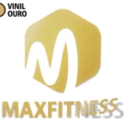 ADESIVOS PLOTTER DE RECORTE VINIL BRILHO em São José do Rio Preto, SP por Public Gráfica e Brindes