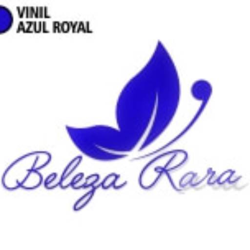 ADESIVOS PLOTTER DE RECORTE VINIL BRILHO em São José do Rio Preto, SP por Public Gráfica e Brindes