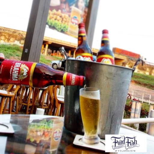 Baldinho de cerveja por Fried Fish Vilarejo