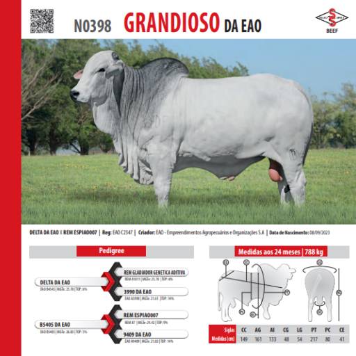 Touro Nelore Grandioso da EAO (N0398)