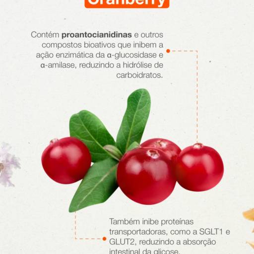 Cramberry 250 mg 30 cápsulas em Atibaia, SP por Farmalu - Farmácia de Manipulação
