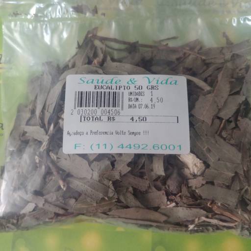 Eucalipto por Saúde e Vida