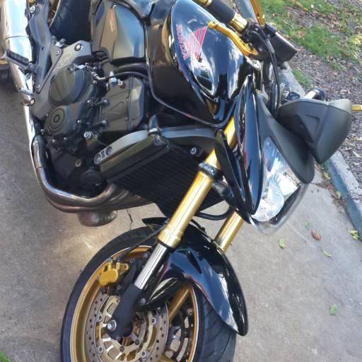 HORNET por Ponto Forte Multimarcas