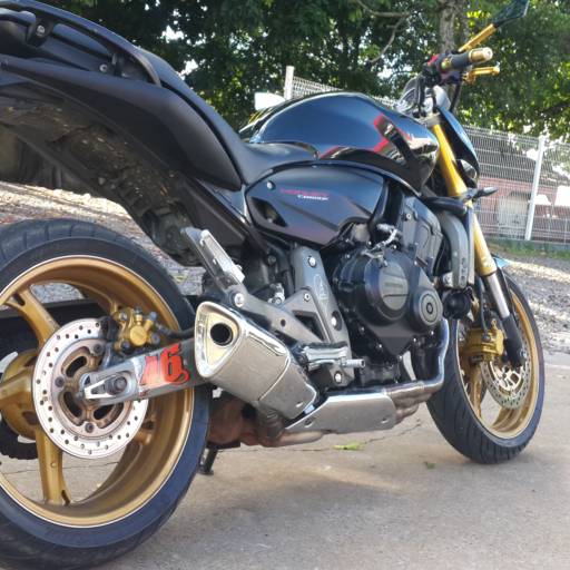 HORNET por Ponto Forte Multimarcas