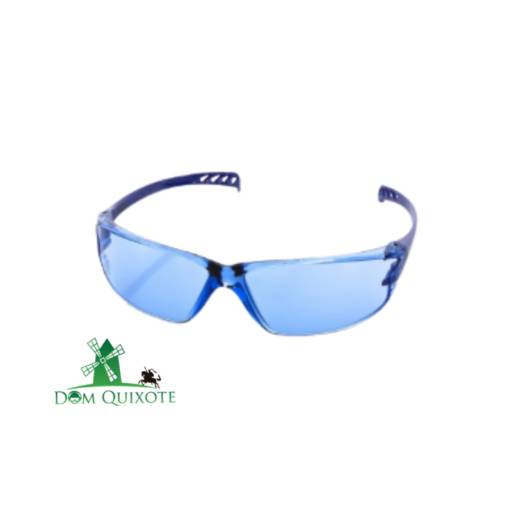 Óculos Vision 500 Azul Antiembaçante em Jundiaí, SP por Dom Quixote Equipamentos de Proteção Individual
