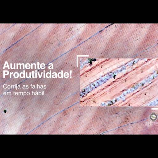Falhas de Plantio Florestal em Botucatu, SP por Spectrum Inteligência Agro Florestal