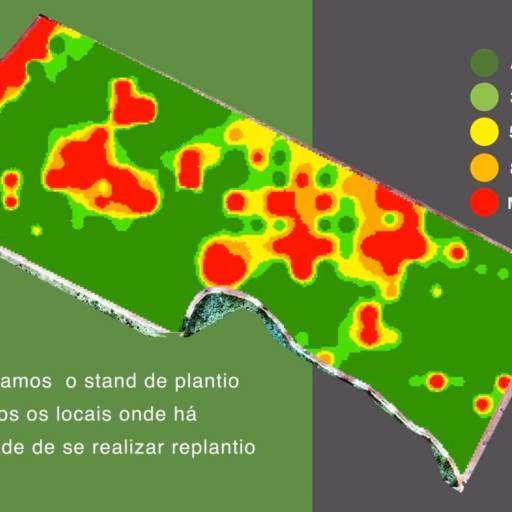 Falhas de Plantio Florestal