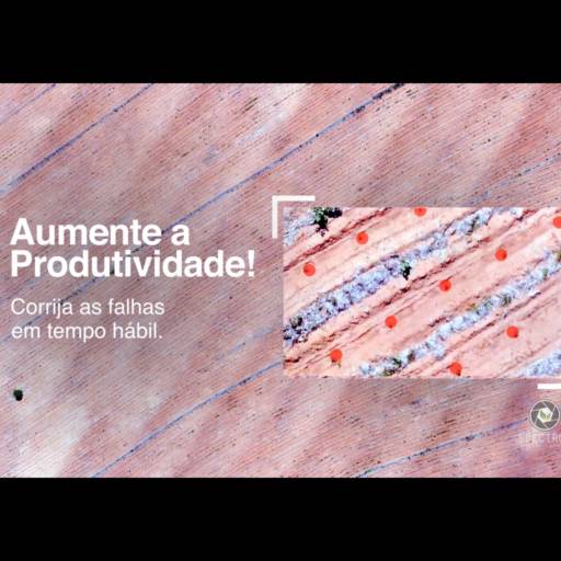 Falhas de Plantio Florestal em Botucatu, SP por Spectrum Inteligência Agro Florestal
