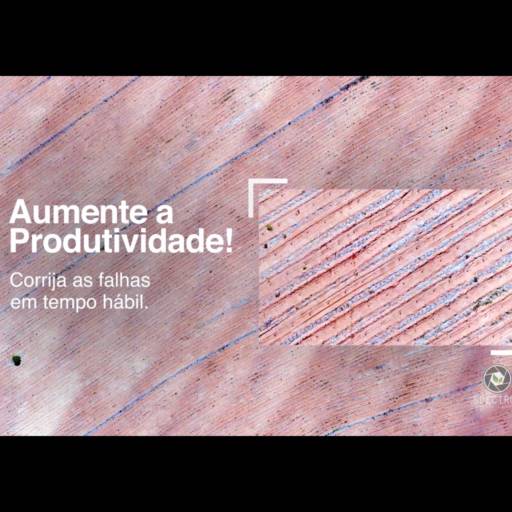 Falhas de Plantio Florestal em Botucatu, SP por Spectrum Inteligência Agro Florestal
