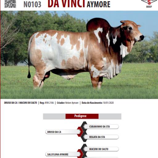 Touro Nelore Pintado Da Vinci Aymore (N0103)