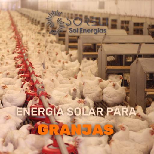 Energia Solar para Granjas