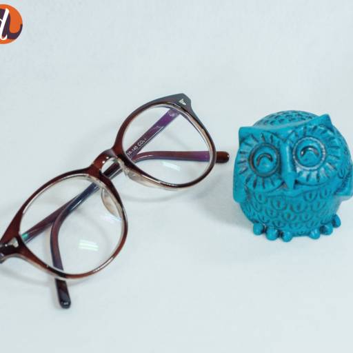 Coruja azul turquesa em Assis, SP por Decorano Loja Decor