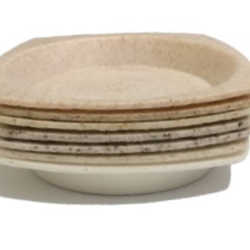 Bandejas e pratos com fibras naturais - em fase de teste por Nastiê Bioembalagens