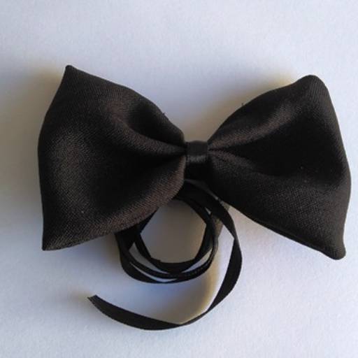 Gravatas  em Tietê, SP por Fantasia & Folia