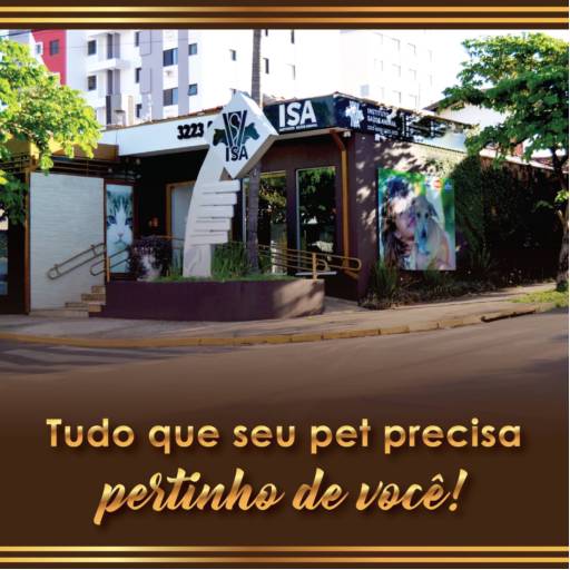 Henrique savi 8-8