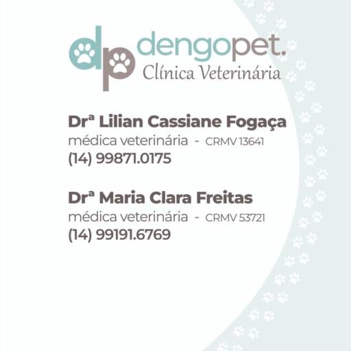 Coleta para Exames Veterinários em São Manuel – Dengopet