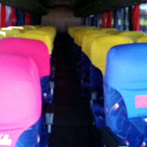 Ônibus Executivo - 50 lugares