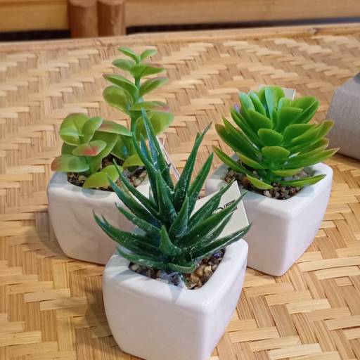 Plantas Artificiais  em Ninho Verde II Eco Residence, SP por Decor Max Casa