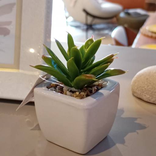 Plantas Artificiais  em Ninho Verde II Eco Residence, SP por Decor Max Casa