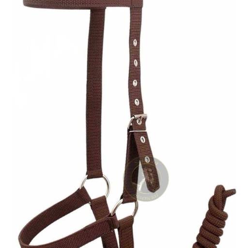 Cabresto de fita comum Marrom em Bom Jesus dos Perdões, SP por Agropecuária Lukan