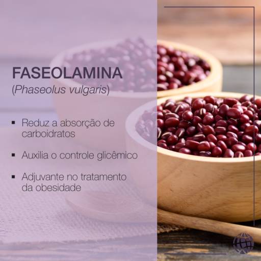 Faseolamina 300mg 30 cápsulas em Atibaia, SP por Farmalu - Farmácia de Manipulação