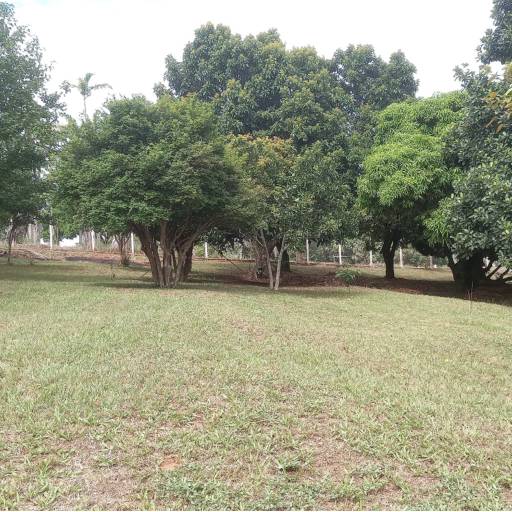 À venda em Avaré, SP por Imobiliária Avareense