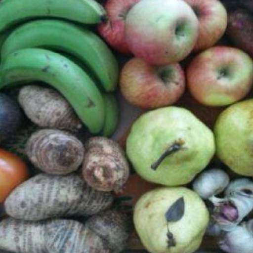 Produtos frescos e orgânicos por Fort Vida Mundo dos Orgânicos