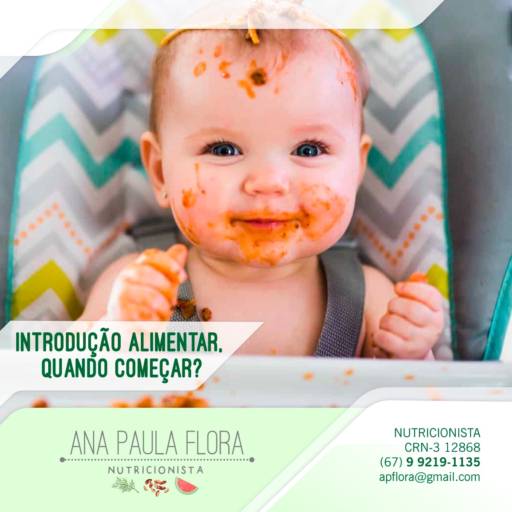 Comprar o produto de Introdução Alimentar  em A Classificar pela empresa Ana Paula Flora em Dourados, MS por Solutudo