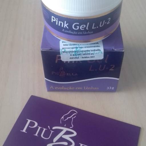 Comprar o produto de Gel Pink lu2 33g  (tradicional) em Kits Unhas de Gel pela empresa Piu Bella Revendedor Araçatuba em Araçatuba, SP por Solutudo