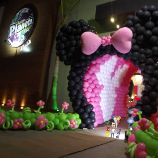 Entradas por Teo Balões