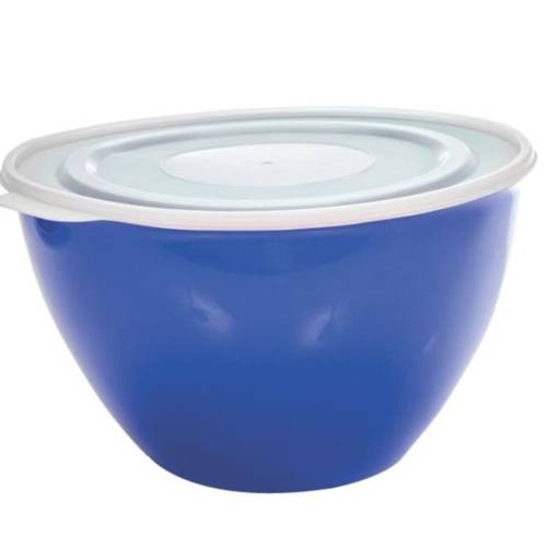 Tigela 5,2L com Tampa Colors Ercaplast  por Casa Vitória
