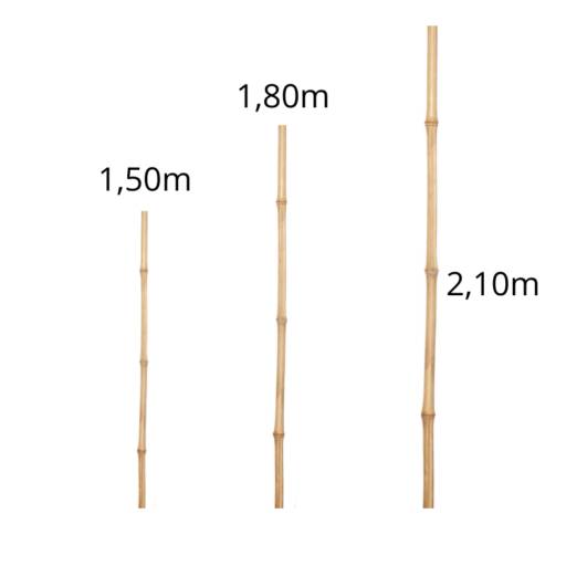 Bambu natural seco em Botucatu, SP por Botucatu Garden