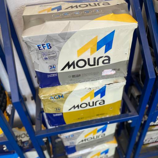 Efb e agm start stop 