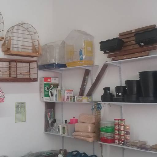 Comprar o produto de Jardinagem e gaiolas em Aves pela empresa São Francisco Petshop em Jundiaí, SP por Solutudo