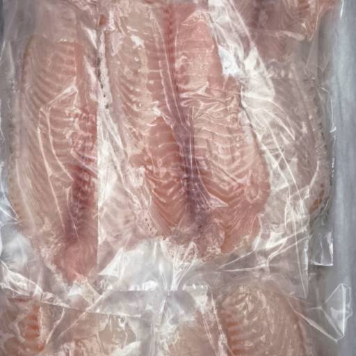 Peixes em geral