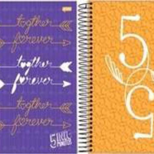 Caderno 10 Materias Feminino