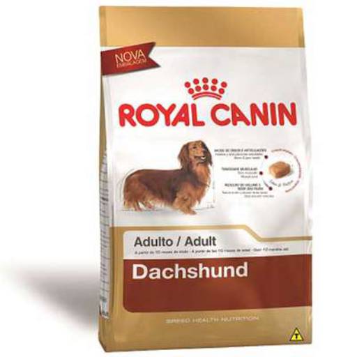 DACHSHUND ADULT ROYAL CANIN por Tem Patas