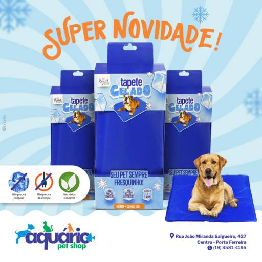 Gerenciamento de Redes Sociais por Brod'S Propaganda